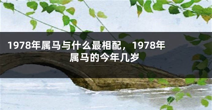 1978年属马与什么最相配，1978年属马的今年几岁