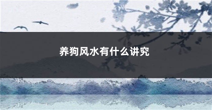 养狗风水有什么讲究