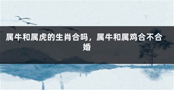 属牛和属虎的生肖合吗，属牛和属鸡合不合婚