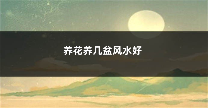 养花养几盆风水好