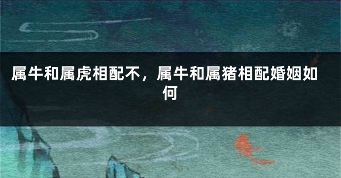属牛和属虎相配不，属牛和属猪相配婚姻如何