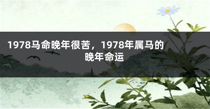 1978马命晚年很苦，1978年属马的晚年命运