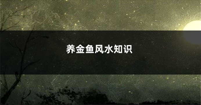 养金鱼风水知识