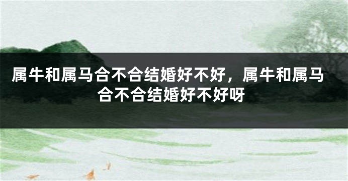 属牛和属马合不合结婚好不好，属牛和属马合不合结婚好不好呀