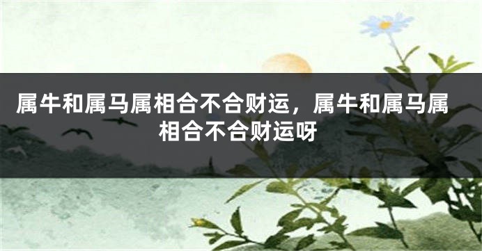 属牛和属马属相合不合财运，属牛和属马属相合不合财运呀