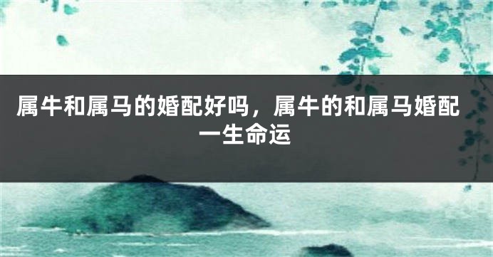 属牛和属马的婚配好吗，属牛的和属马婚配一生命运