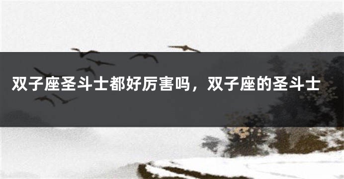 双子座圣斗士都好厉害吗，双子座的圣斗士