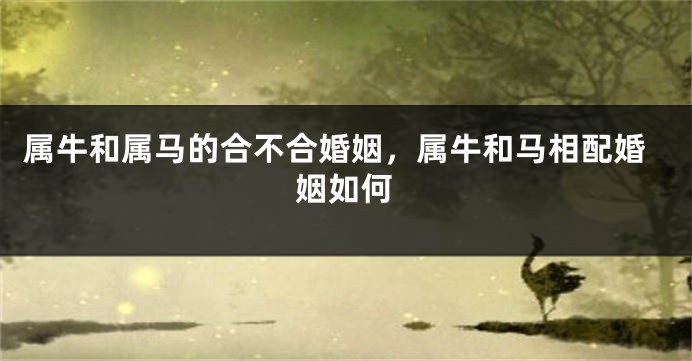 属牛和属马的合不合婚姻，属牛和马相配婚姻如何
