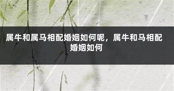 属牛和属马相配婚姻如何呢，属牛和马相配婚姻如何