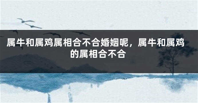 属牛和属鸡属相合不合婚姻呢，属牛和属鸡的属相合不合