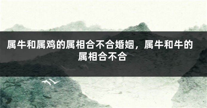 属牛和属鸡的属相合不合婚姻，属牛和牛的属相合不合