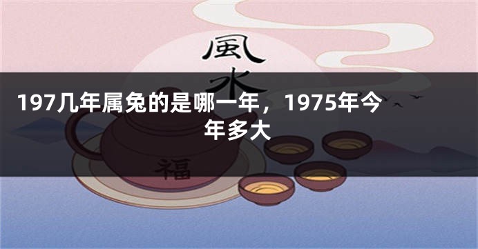 197几年属兔的是哪一年，1975年今年多大