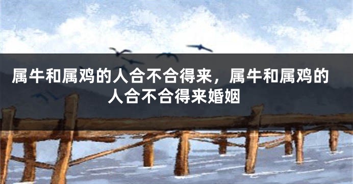 属牛和属鸡的人合不合得来，属牛和属鸡的人合不合得来婚姻