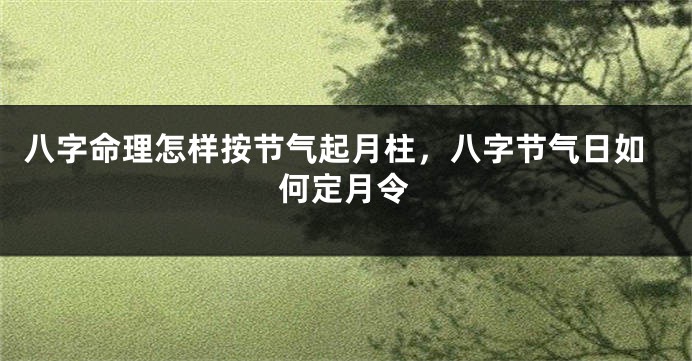 八字命理怎样按节气起月柱，八字节气日如何定月令