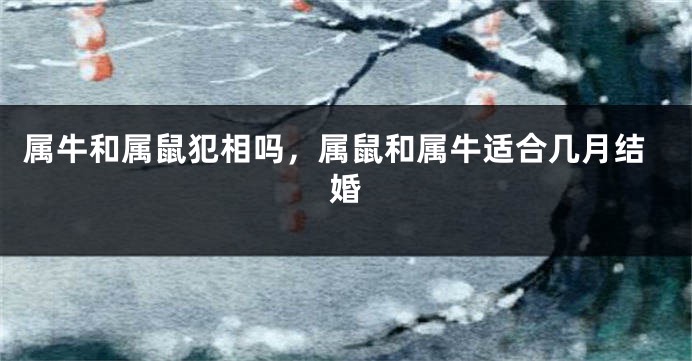属牛和属鼠犯相吗，属鼠和属牛适合几月结婚