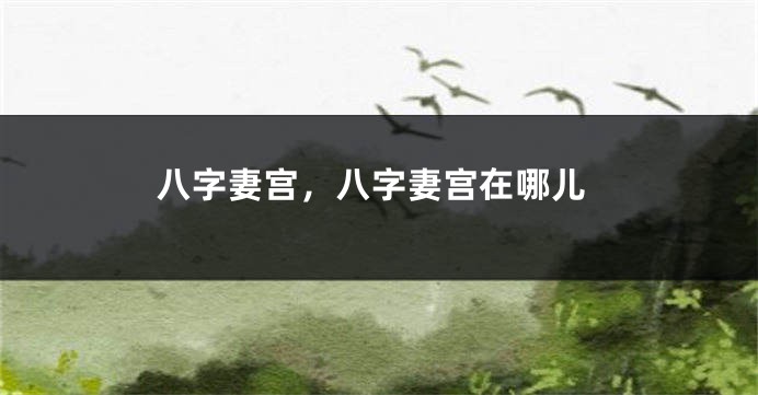 八字妻宫，八字妻宫在哪儿