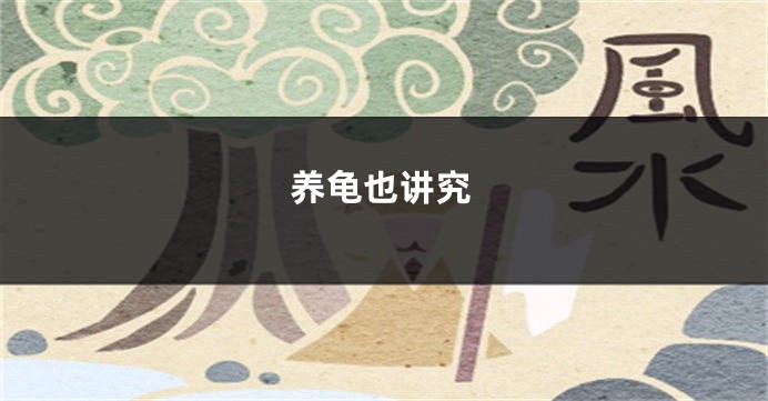 养龟也讲究
