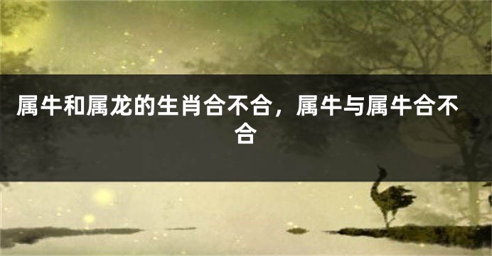 属牛和属龙的生肖合不合，属牛与属牛合不合