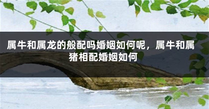 属牛和属龙的般配吗婚姻如何呢，属牛和属猪相配婚姻如何