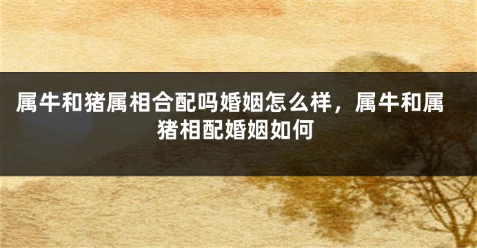 属牛和猪属相合配吗婚姻怎么样，属牛和属猪相配婚姻如何