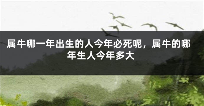 属牛哪一年出生的人今年必死呢，属牛的哪年生人今年多大