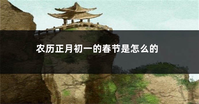农历正月初一的春节是怎么的