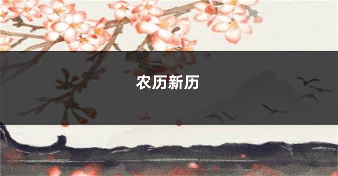 农历新历