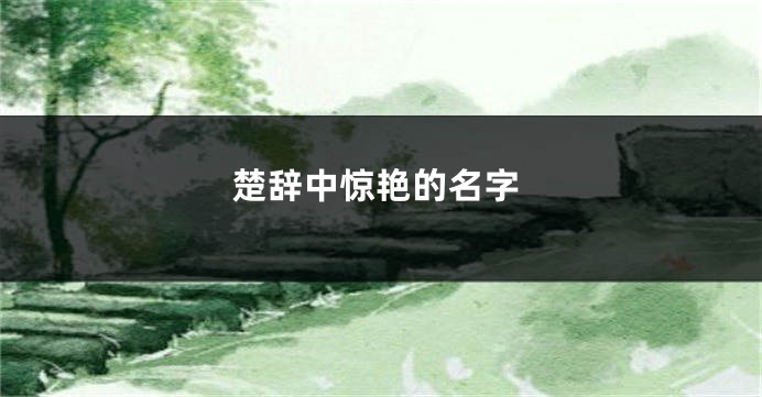 楚辞中惊艳的名字