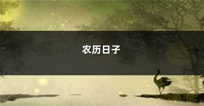 农历日子