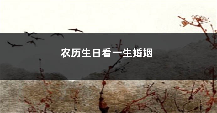 农历生日看一生婚姻