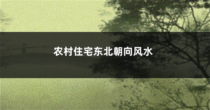 农村住宅东北朝向风水