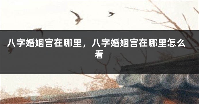 八字婚姻宫在哪里，八字婚姻宫在哪里怎么看