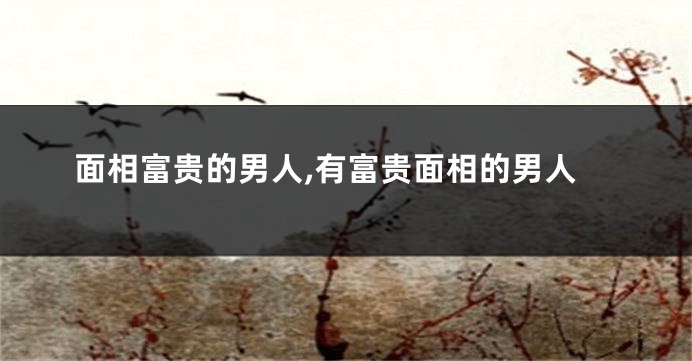 面相富贵的男人,有富贵面相的男人