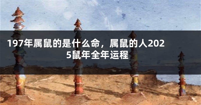 197年属鼠的是什么命，属鼠的人2025鼠年全年运程
