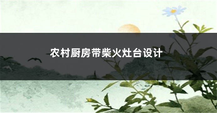农村厨房带柴火灶台设计