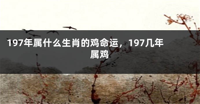 197年属什么生肖的鸡命运，197几年属鸡