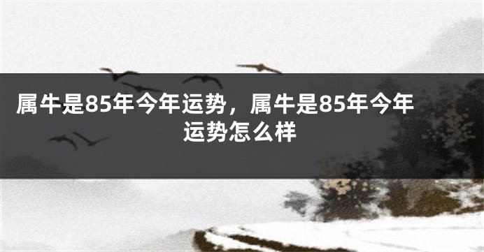 属牛是85年今年运势，属牛是85年今年运势怎么样