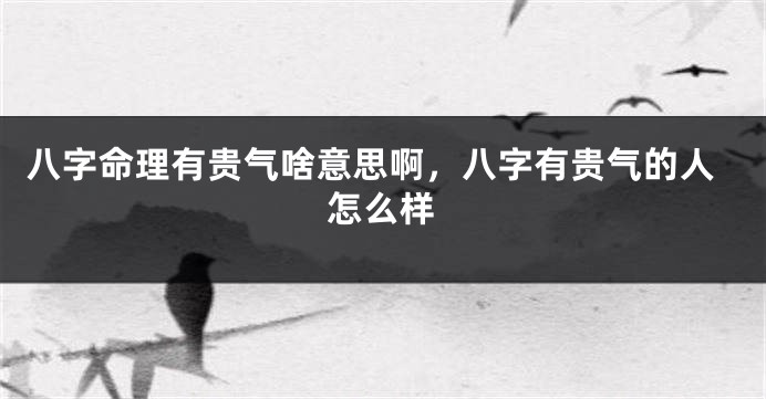 八字命理有贵气啥意思啊，八字有贵气的人怎么样