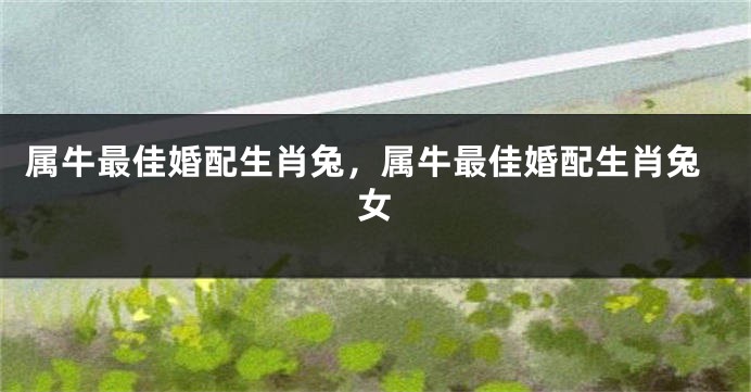 属牛最佳婚配生肖兔，属牛最佳婚配生肖兔女