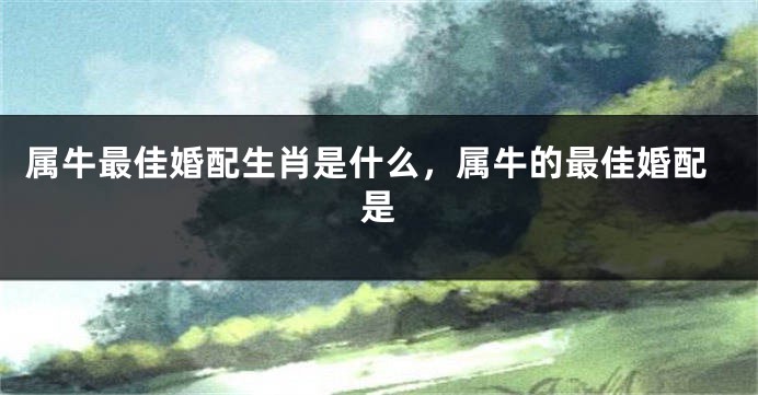 属牛最佳婚配生肖是什么，属牛的最佳婚配是