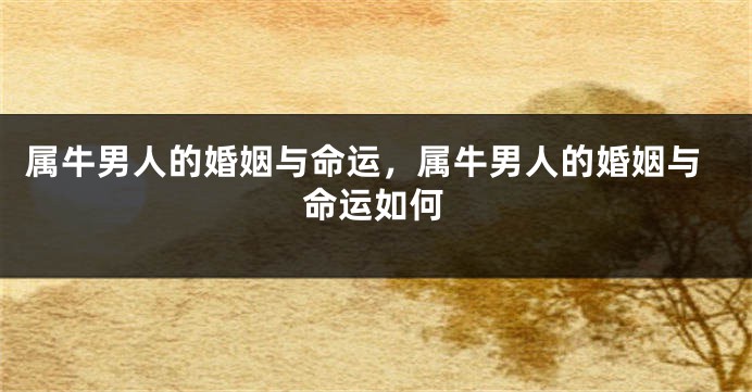 属牛男人的婚姻与命运，属牛男人的婚姻与命运如何