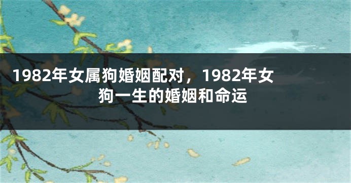 1982年女属狗婚姻配对，1982年女狗一生的婚姻和命运