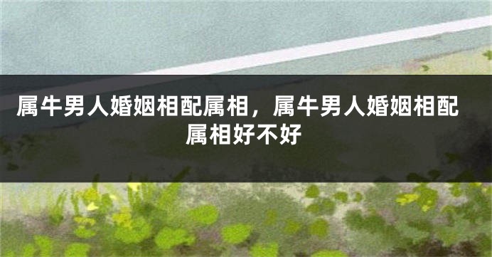 属牛男人婚姻相配属相，属牛男人婚姻相配属相好不好