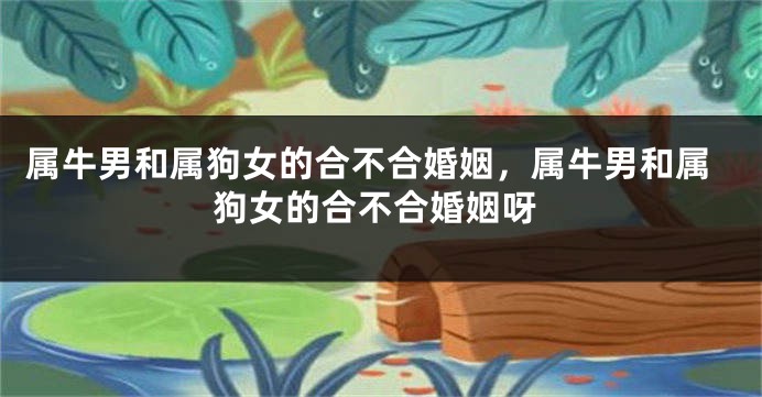 属牛男和属狗女的合不合婚姻，属牛男和属狗女的合不合婚姻呀
