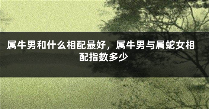 属牛男和什么相配最好，属牛男与属蛇女相配指数多少