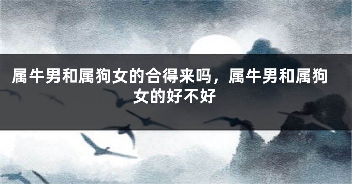属牛男和属狗女的合得来吗，属牛男和属狗女的好不好