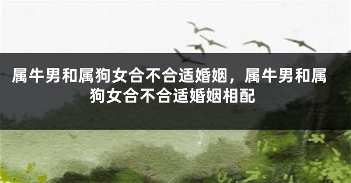 属牛男和属狗女合不合适婚姻，属牛男和属狗女合不合适婚姻相配
