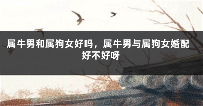 属牛男和属狗女好吗，属牛男与属狗女婚配好不好呀