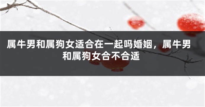 属牛男和属狗女适合在一起吗婚姻，属牛男和属狗女合不合适
