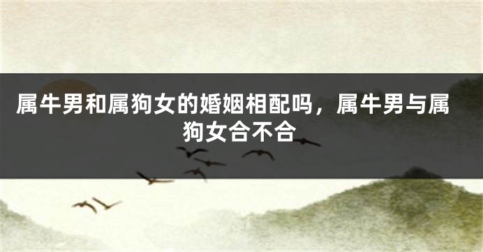 属牛男和属狗女的婚姻相配吗，属牛男与属狗女合不合